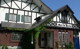 Country Inn 森のゴリラ